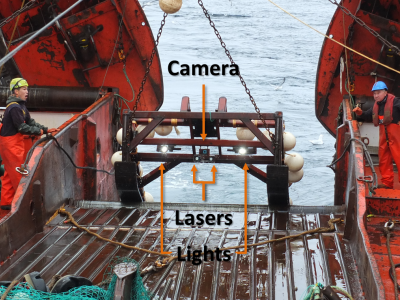 My Research Makespace: Using underwater lasers to study the impact of deep-sea trawling in Greenland