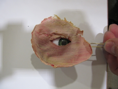 Members Event: Animatronic Eye Making Masterclass